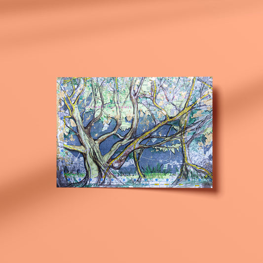 Richmond Park Oak Art Print