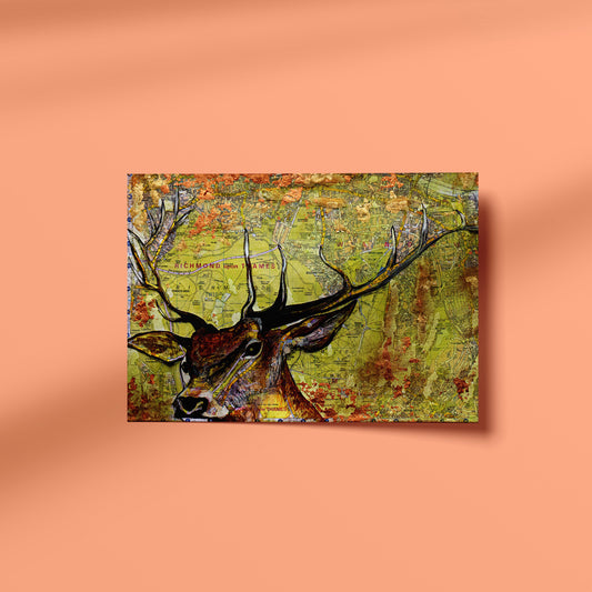 Richmond Park Stag Art Print